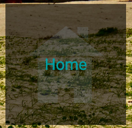 Datei:HABPanel GoHome Widget.png